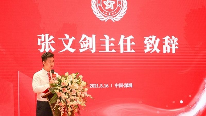 mg动画定制服务：揭秘十大品牌背后的秘密